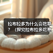 拉布拉多为什么会吃草？（探究拉布拉多吃草的原因和如何正确处理）