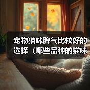 宠物猫咪脾气比较好的选择（哪些品种的猫咪性格温顺友好）