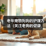 老年宠物狗狗的护理方法（关注老狗的健康，细心呵护老伴侣）（图3）