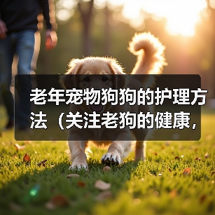 老年宠物狗狗的护理方法（关注老狗的健康，细心呵护老伴侣）（图4）