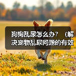 狗狗乱尿怎么办？（解决宠物乱尿问题的有效方法）
