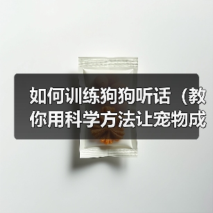 如何训练狗狗听话（教你用科学方法让宠物成为好孩子）