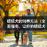 银狐犬的饲养方法（全面指南，让你的银狐犬健康成长）（图4）
