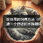 珍珠吊的饲养方法（打造一个舒适的水族箱环境）