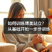 如何训练博美站立？（从基础开始一步步训练，让你的狗狗优雅地站立）（图4）