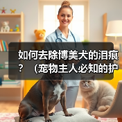 如何去除博美犬的泪痕？（宠物主人必知的护理技巧）（图4）