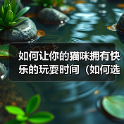 如何让你的猫咪拥有快乐的玩耍时间(如何选择适合猫咪的玩具)(图1) 如何让你的猫咪拥有快乐的玩耍时间(如何选择适合猫咪的玩具)(图1)