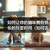如何让你的猫咪拥有快乐的玩耍时间(如何选择适合猫咪的玩具)(图3) 如何让你的猫咪拥有快乐的玩耍时间(如何选择适合猫咪的玩具)(图3)