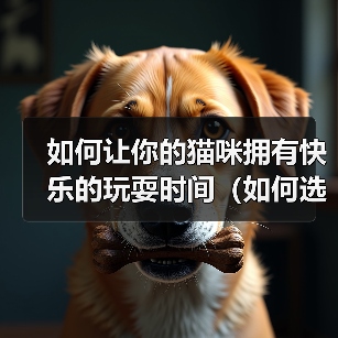 如何让你的猫咪拥有快乐的玩耍时间(如何选择适合猫咪的玩具)(图2) 如何让你的猫咪拥有快乐的玩耍时间(如何选择适合猫咪的玩具)(图2)