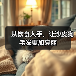 从饮食入手，让沙皮狗毛发更加亮丽