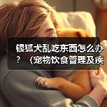 银狐犬乱吃东西怎么办?(宠物饮食管理及疾病预防)(图3) 银狐犬乱吃东西怎么办?(宠物饮食管理及疾病预防)(图3)