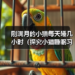 刚满月的小猫每天睡几小时(探究小猫睡眠习惯及其对健康的影响)(图2) 刚满月的小猫每天睡几小时(探究小猫睡眠习惯及其对健康的影响)(图2)