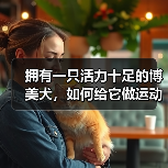 拥有一只活力十足的博美犬,如何给它做运动?(为你的宠物制定一份运动计划,让它更健康快乐)(图4) 拥有一只活力十足的博美犬,如何给它做运动?(为你的宠物制定一份运动计划,让它更健康快乐)(图4)