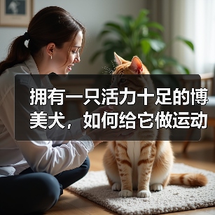 拥有一只活力十足的博美犬,如何给它做运动?(为你的宠物制定一份运动计划,让它更健康快乐)(图2) 拥有一只活力十足的博美犬,如何给它做运动?(为你的宠物制定一份运动计划,让它更健康快乐)(图2)