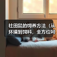社田鼠的饲养方法（从环境到饲料，全方位呵护你的社田鼠）