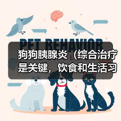 狗狗胰腺炎(综合治疗是关键,饮食和生活习惯也重要)(图2) 狗狗胰腺炎(综合治疗是关键,饮食和生活习惯也重要)(图2)