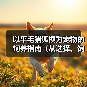 以平毛猎狐梗为宠物的饲养指南(从选择、饲料到训练,了解平毛猎狐梗的一切)(图2) 以平毛猎狐梗为宠物的饲养指南(从选择、饲料到训练,了解平毛猎狐梗的一切)(图2)