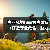 高丽兔的饲养方法详解（打造专业兔舍，助力高丽兔健康成长）