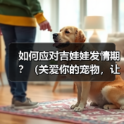 如何应对吉娃娃发情期?(关爱你的宠物,让TA度过发情期)(图2) 如何应对吉娃娃发情期?(关爱你的宠物,让TA度过发情期)(图2)