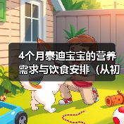 4个月泰迪宝宝的营养需求与饮食安排（从初期喂养到添加辅食，打造健康成长的宠物狗狗）