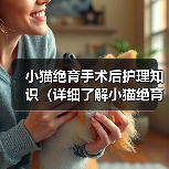 小猫绝育手术后护理知识（详细了解小猫绝育手术后的注意事项和护理措施）