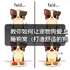 教你如何让宠物狗爱上睡狗窝(打造舒适的狗窝,培养狗狗好习惯)(图4) 教你如何让宠物狗爱上睡狗窝(打造舒适的狗窝,培养狗狗好习惯)(图4)