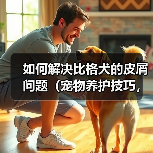 如何解决比格犬的皮屑问题(宠物养护技巧,养出健康快乐的比格犬)(图2) 如何解决比格犬的皮屑问题(宠物养护技巧,养出健康快乐的比格犬)(图2)
