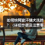 如何给阿富汗猎犬洗脸?(详细步骤及注意事项。)(图4) 如何给阿富汗猎犬洗脸?(详细步骤及注意事项。)(图4)
