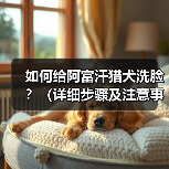 如何给阿富汗猎犬洗脸？（详细步骤及注意事项。）