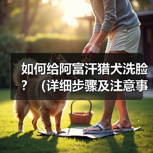 如何给阿富汗猎犬洗脸?(详细步骤及注意事项。)(图3) 如何给阿富汗猎犬洗脸?(详细步骤及注意事项。)(图3)