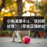 小狗流尿不止,该如何处理?(掌握正确的处理方法,让小狗健康成长)(图2) 小狗流尿不止,该如何处理?(掌握正确的处理方法,让小狗健康成长)(图2)