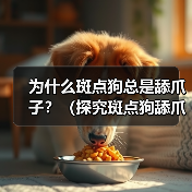 为什么斑点狗总是舔爪子？（探究斑点狗舔爪子的原因和行为习惯）（图2）
