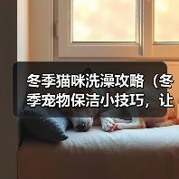 冬季猫咪洗澡攻略(冬季宠物保洁小技巧,让猫咪健康舒适过冬)(图4) 冬季猫咪洗澡攻略(冬季宠物保洁小技巧,让猫咪健康舒适过冬)(图4)