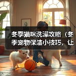 冬季猫咪洗澡攻略（冬季宠物保洁小技巧，让猫咪健康舒适过冬）