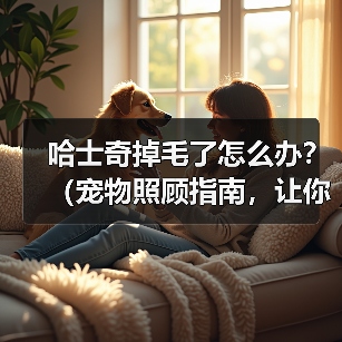 哈士奇掉毛了怎么办？（宠物照顾指南，让你的哈士奇掉毛少如一把梳子）