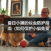 夏日小猫的蚊虫防护指南(如何保护小猫免受蚊虫叮咬的伤害?)(图3) 夏日小猫的蚊虫防护指南(如何保护小猫免受蚊虫叮咬的伤害?)(图3)