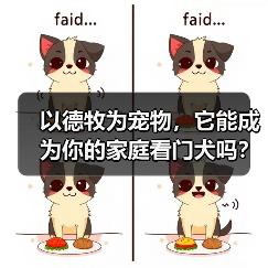 以德牧为宠物,它能成为你的家庭看门犬吗?(了解德牧的性格特点和训练技巧,让你更加信任它)(图2) 以德牧为宠物,它能成为你的家庭看门犬吗?(了解德牧的性格特点和训练技巧,让你更加信任它)(图2)