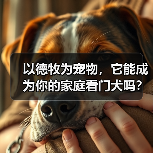 以德牧为宠物,它能成为你的家庭看门犬吗?(了解德牧的性格特点和训练技巧,让你更加信任它)(图4) 以德牧为宠物,它能成为你的家庭看门犬吗?(了解德牧的性格特点和训练技巧,让你更加信任它)(图4)