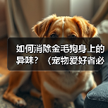 如何消除金毛狗身上的异味?(宠物爱好者必看!金毛狗身上异味的原因和解决方法)(图2) 如何消除金毛狗身上的异味?(宠物爱好者必看!金毛狗身上异味的原因和解决方法)(图2)