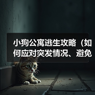 小狗公寓逃生攻略(如何应对突发情况、避免被困?)(图4) 小狗公寓逃生攻略(如何应对突发情况、避免被困?)(图4)