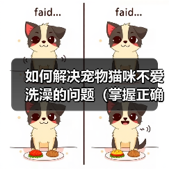 如何解决宠物猫咪不爱洗澡的问题(掌握正确方法,让猫咪爱上洗澡)(图2) 如何解决宠物猫咪不爱洗澡的问题(掌握正确方法,让猫咪爱上洗澡)(图2)