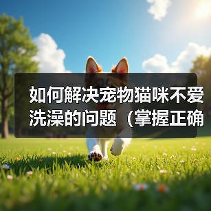 如何解决宠物猫咪不爱洗澡的问题(掌握正确方法,让猫咪爱上洗澡)(图3) 如何解决宠物猫咪不爱洗澡的问题(掌握正确方法,让猫咪爱上洗澡)(图3)
