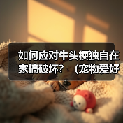 如何应对牛头梗独自在家搞破坏?(宠物爱好者必看!一定要知道的防范措施!)(图1) 如何应对牛头梗独自在家搞破坏?(宠物爱好者必看!一定要知道的防范措施!)(图1)