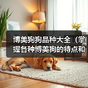博美狗狗品种大全(掌握各种博美狗的特点和习性,选一只最适合你的小伙伴)(图3) 博美狗狗品种大全(掌握各种博美狗的特点和习性,选一只最适合你的小伙伴)(图3)