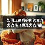 如何正确呵护你的贵宾犬皮毛(贵宾犬皮毛护理指南,让你的宠物更健康美丽)(图3) 如何正确呵护你的贵宾犬皮毛(贵宾犬皮毛护理指南,让你的宠物更健康美丽)(图3)