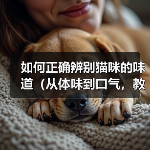 如何正确辨别猫咪的味道(从体味到口气,教你轻松分辨猫咪身上的气味)(图2) 如何正确辨别猫咪的味道(从体味到口气,教你轻松分辨猫咪身上的气味)(图2)