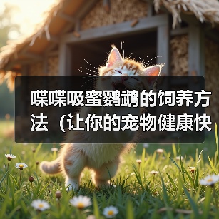 喋喋吸蜜鹦鹉的饲养方法(让你的宠物健康快乐生活)(图4) 喋喋吸蜜鹦鹉的饲养方法(让你的宠物健康快乐生活)(图4)
