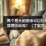 两个月大的猫咪可以玩薄荷玩具吗?(了解薄荷玩具的好处与注意事项)(图2) 两个月大的猫咪可以玩薄荷玩具吗?(了解薄荷玩具的好处与注意事项)(图2)