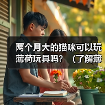 两个月大的猫咪可以玩薄荷玩具吗?(了解薄荷玩具的好处与注意事项)(图4) 两个月大的猫咪可以玩薄荷玩具吗?(了解薄荷玩具的好处与注意事项)(图4)