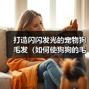 打造闪闪发光的宠物狗毛发(如何使狗狗的毛发有光泽?)(图4) 打造闪闪发光的宠物狗毛发(如何使狗狗的毛发有光泽?)(图4)
